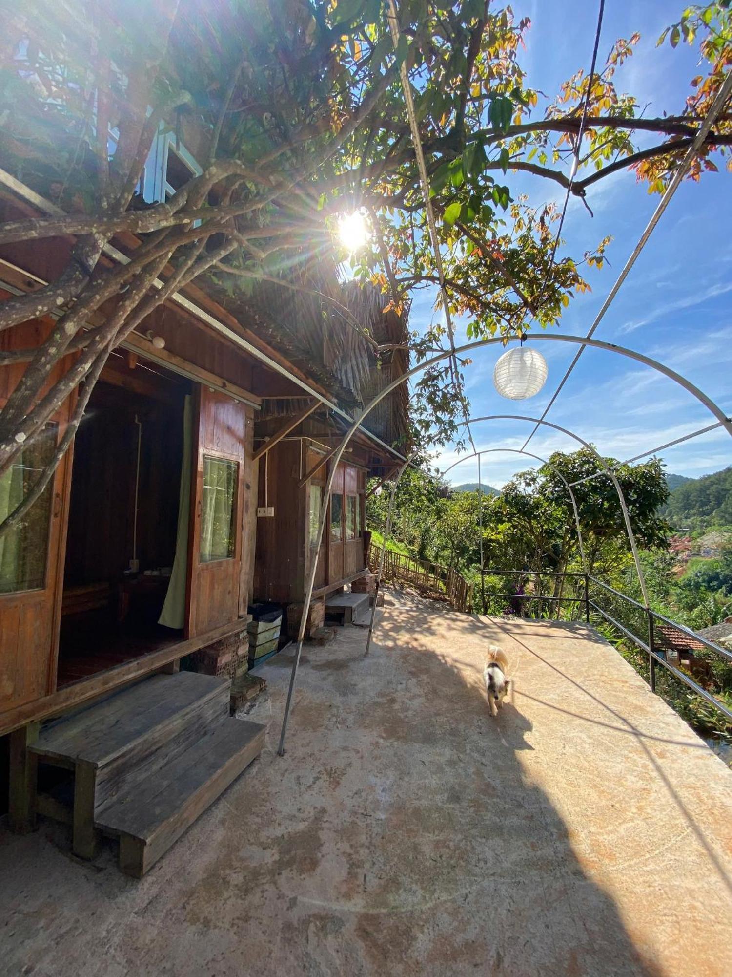 Vuon Nha Cui Homestay Да Лат Екстериор снимка